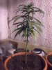 30082011030.jpg