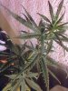 30082011034.jpg