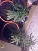 30082011032.jpg