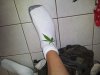 2011-09-02 09.02.39.jpg
