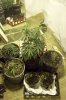 100_1013.jpg