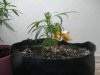 DSCN3385.jpg