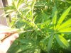 101_0011.jpg