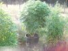 101_0010.jpg