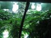 IMG_3127.jpg