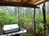Puna Forrest view from front porch.jpg