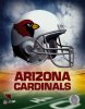 cardinals_poster-11697.jpg