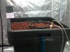 IMG00988-20110924-0954.jpg