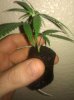 IMG_20111005_145924.jpg