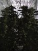 DSC01744.JPG