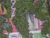 DSCN3589.jpg