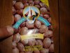 DSC01037.jpg