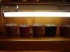 DSC01076.jpg