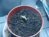 DSC01774.jpg