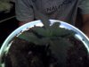 Picture 013.jpg