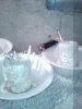0717083and4 with flash.jpg