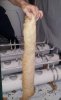 20111030_122144.jpg
