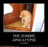 demotivational-posters-the-zombie-apocatypse.jpg