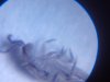 2011-11-01_17-38-00_849.jpg