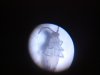 2011-11-01_17-36-37_383.jpg