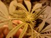 IMG_20111103_233728.jpg