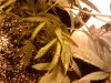 IMG_20111103_233922.jpg