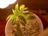 IMG-20111106-00079.jpg