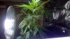 2011-11-16_00-05-06_428.jpg