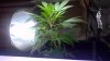2011-11-14_21-03-06_318.jpg