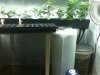 Grow #1 067.jpg