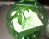 Bud-0022.jpg