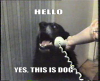 hello-yes-this-is-dog-1318688317p.png