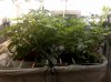 IMG-20111220-00101.jpg