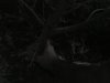 DSC00267.jpg