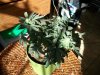 100_2566.jpg