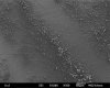 406267757-PtC_coat_-_100.jpg