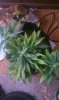 IMAG0389.jpg