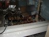 DSC01094.jpg