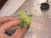 DSC00050.JPG