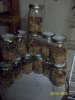 100_0099.jpg