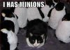 evilpenguin-albums-evilpenguins-penguin-album-picture18165-penguin-minions.jpg