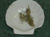 DSCF3388.jpg