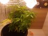 2012-01-22 18.16.17.jpg