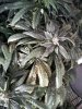 20120125_091712.jpg