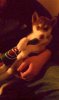 IMAG0223.jpg