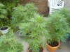 DSC00042.JPG