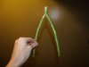 wishbone.jpg