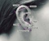 ear_piercings_by_kellrific.jpg