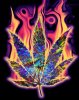 Psychedelic_Pot_Leaf_by_xrockxxandxxrollerx.jpg