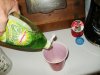 P1010003_800x600.JPG